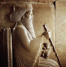 Zone de Texte: Darius Ier, 3e Roi des Rois, Grand Roi de l'Empire Perse, 3e Pharaon de la 27e dynastie, Roi de l'Univers, Roi des quatre directions ... (521-486 av J.C)